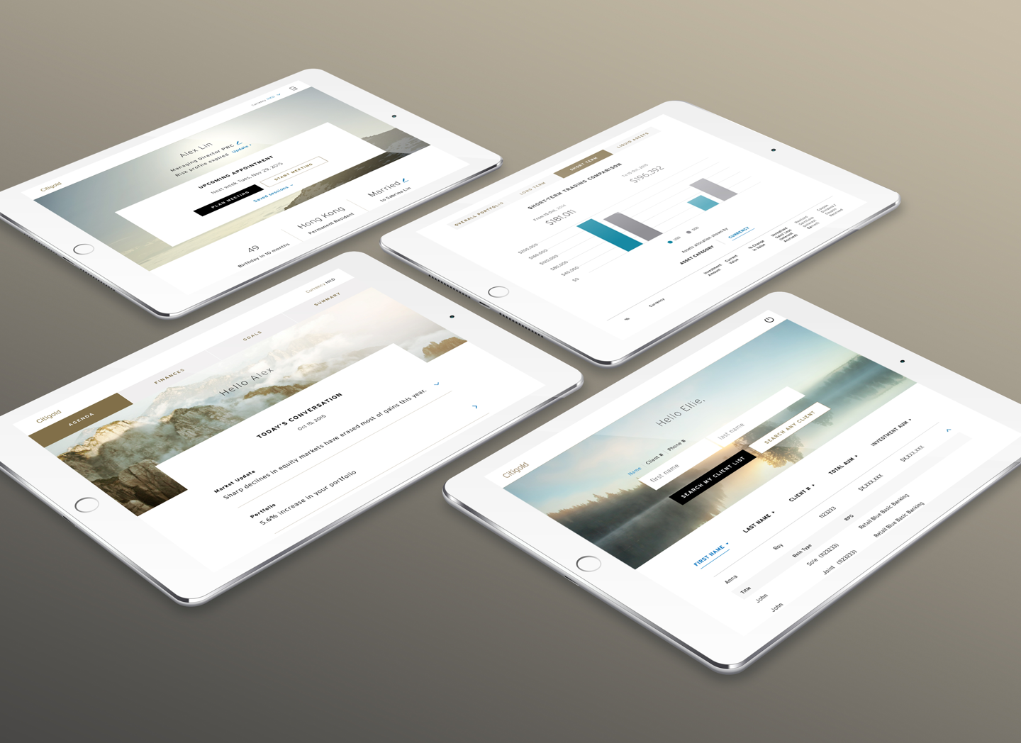 Screens of the Citibank Portfolio Review iPad app